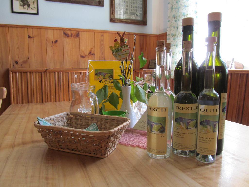 Appartement Weingut Schoberhof Bad Gleichenberg Quarto foto