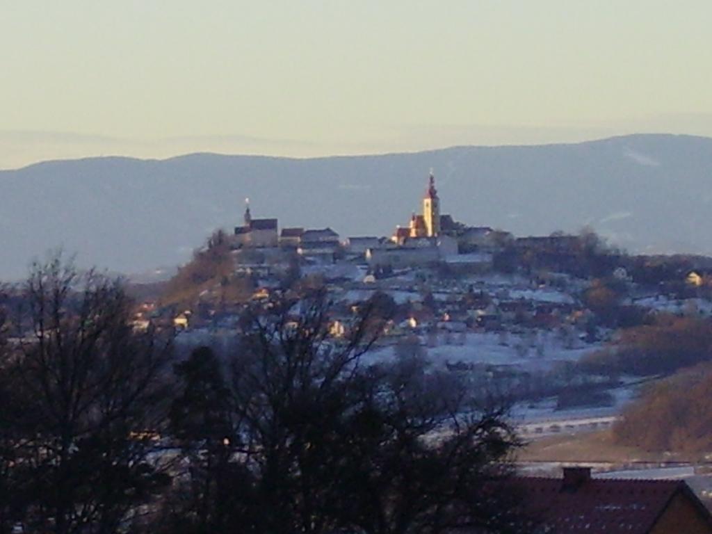 Appartement Weingut Schoberhof Bad Gleichenberg Quarto foto