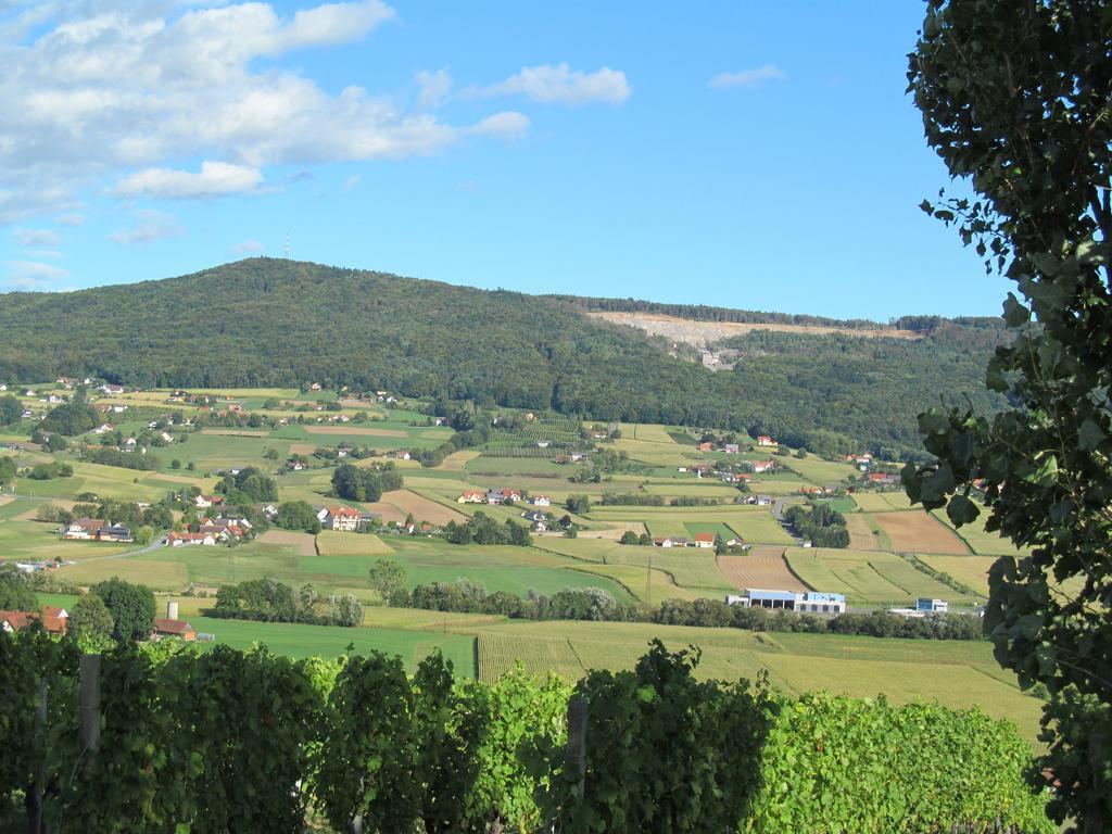 Appartement Weingut Schoberhof Bad Gleichenberg Quarto foto