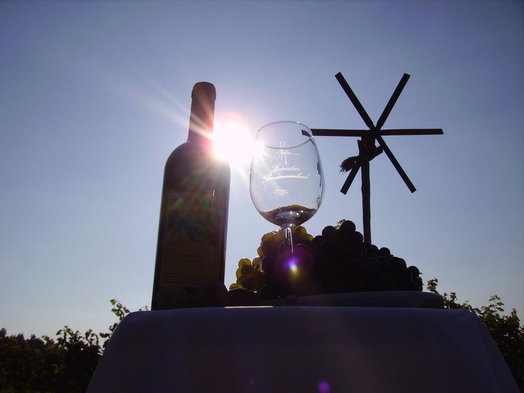 Appartement Weingut Schoberhof Bad Gleichenberg Quarto foto