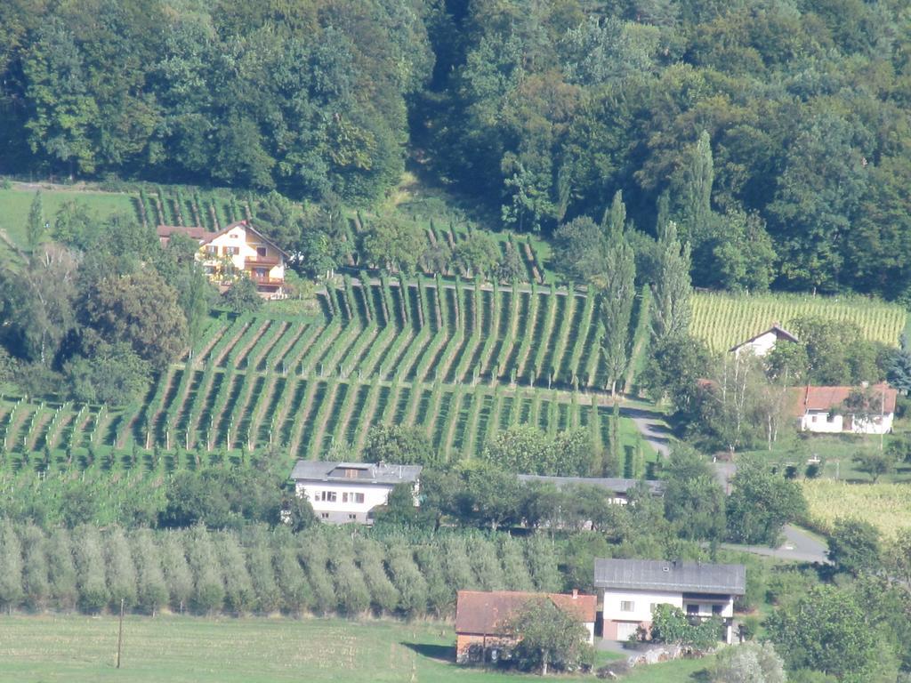 Appartement Weingut Schoberhof Bad Gleichenberg Quarto foto