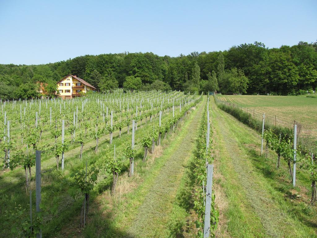Appartement Weingut Schoberhof Bad Gleichenberg Quarto foto