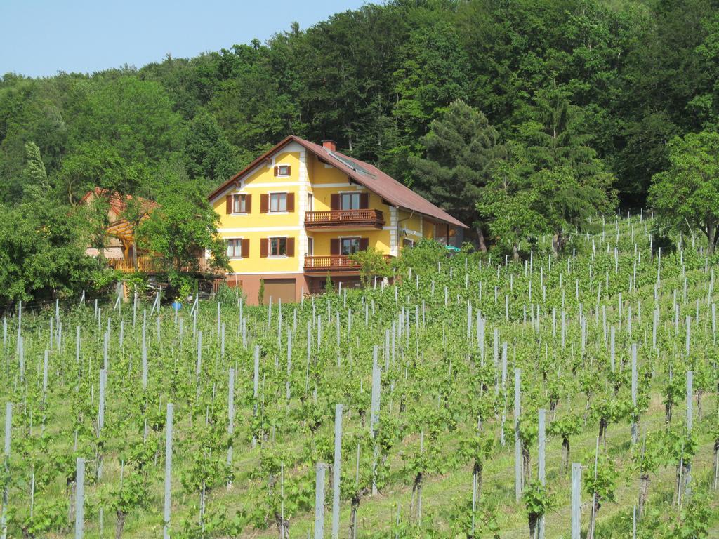Appartement Weingut Schoberhof Bad Gleichenberg Quarto foto